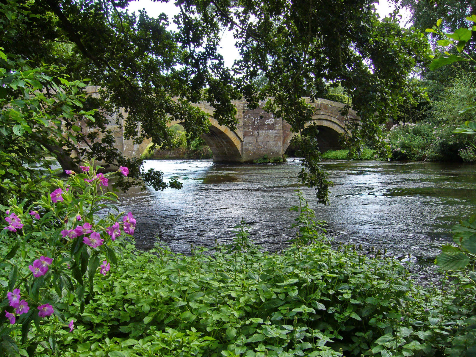 Haddon Hall (Bakewell)